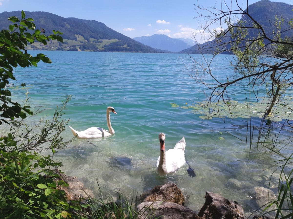 Apartment Am Wolfgangsee Strobl Exterior foto